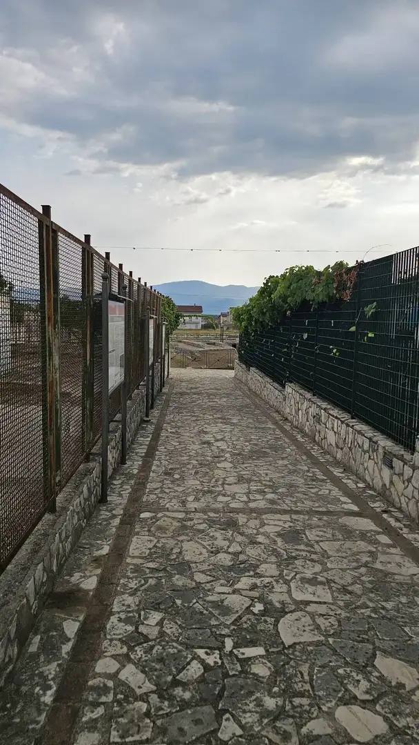 Ingresso dell'anfiteatro romano di Alife