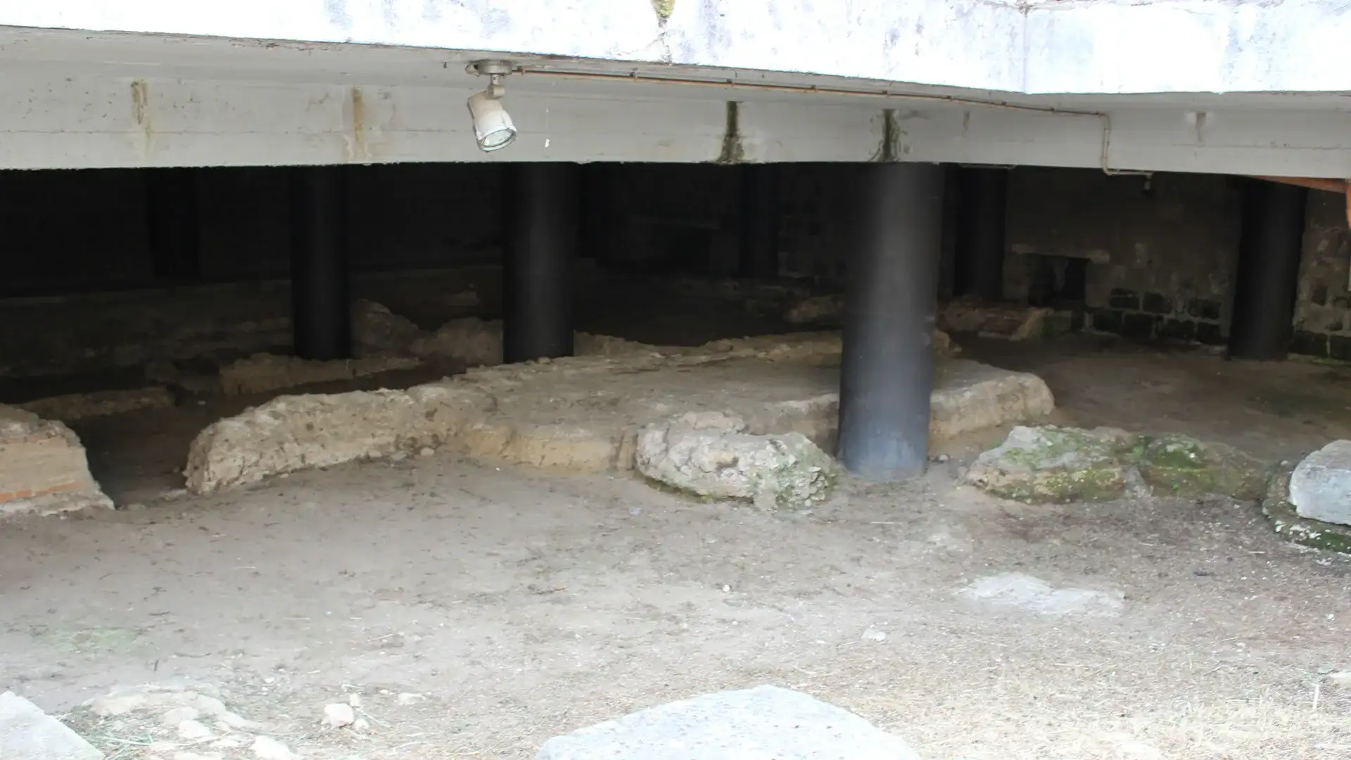 Scavi archeologici del Foro Romano